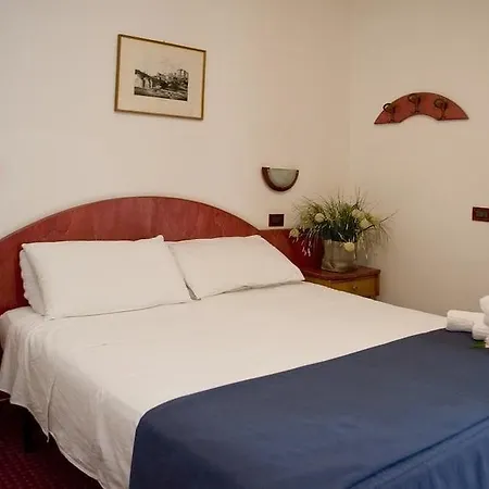 Hotel Friuli 3*