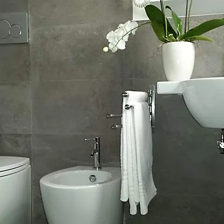 Hotel Friuli 3*