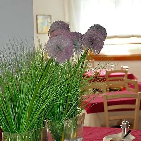 Hotel Friuli 3*