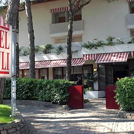 Friuli Hotel 3*