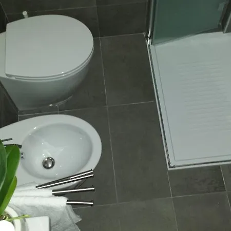Hotel Friuli 3*